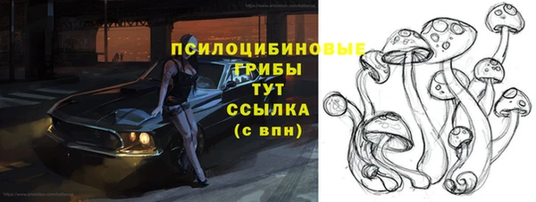 прущие крисы Алексин