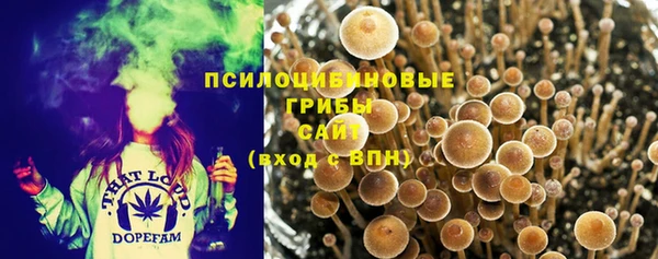 прущие крисы Алексин