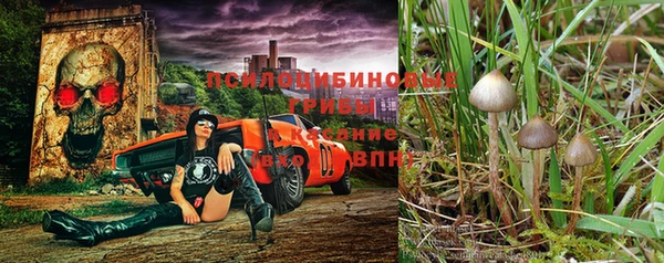 кристаллы Алексеевка