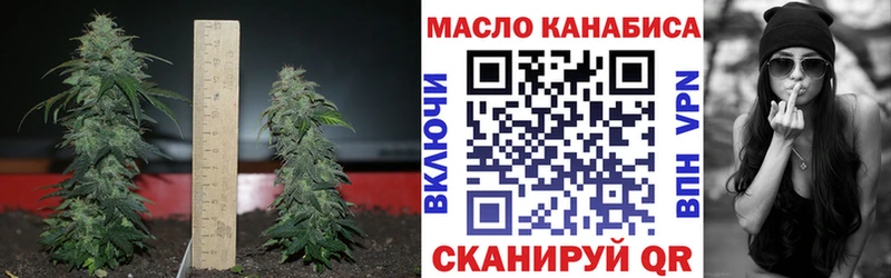 Дистиллят ТГК вейп  даркнет сайт  Арамиль 